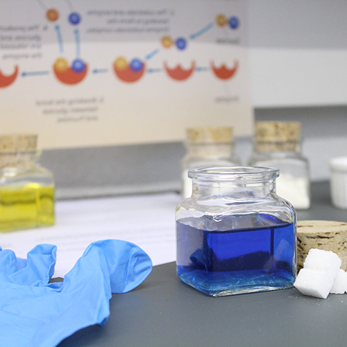 Reinigungsmittel Forschung k