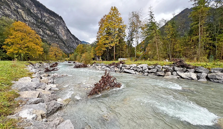 begradigter Fluss Fildrich im Diemtigtal wurde abschnittsweise geöffnet, das Flussbett verbreitert, Baumstämme und Steine eingebracht.